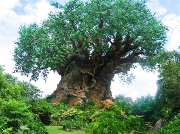 10 Things You May Now Know About the Tree of Life