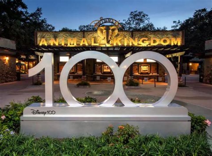 6 Magical Ways to Celebrate Disney100 at Walt Disney World