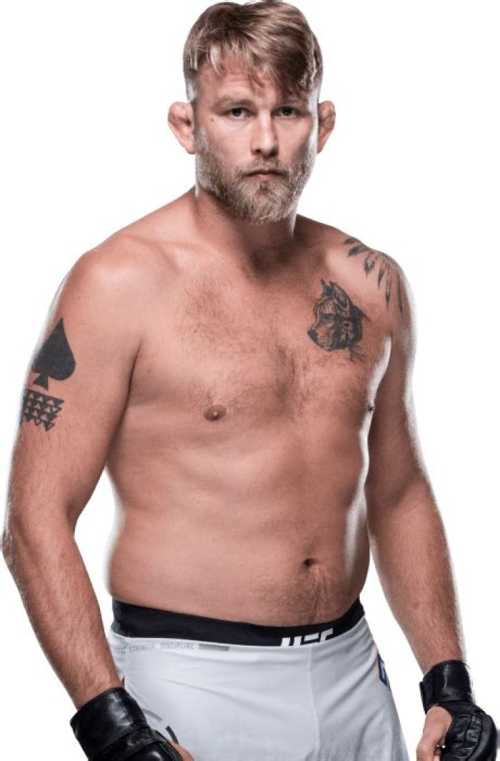 Alexander Gustafsson, Bio, MMA, UFC, Career, Salary, Net Worth, Girlfriend, Affair, Children, Facts, earnings, stats, fight, UFC