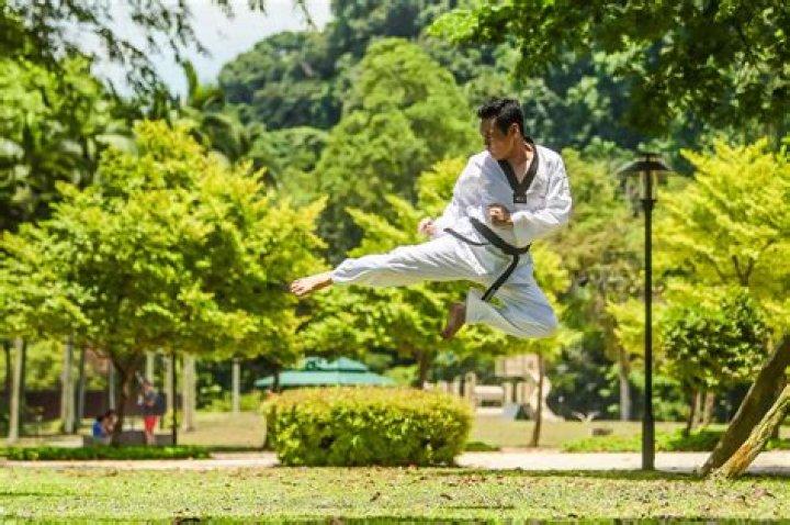Does Vin Diesel Know Martial Arts?