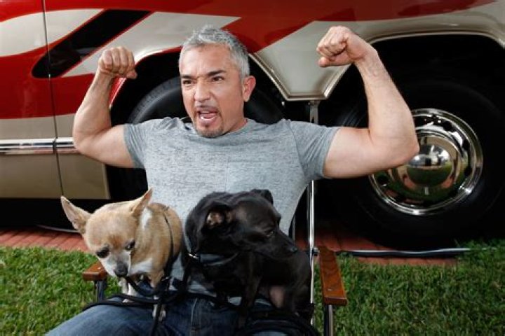 Hire Cesar Millan to Speak at Events
