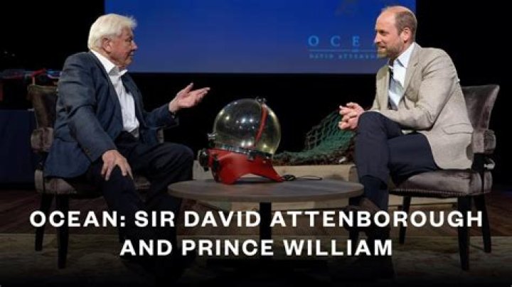 How Much Is David Attenborough Worth?