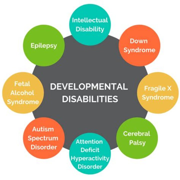 Know About Aelinor’s Disability, Developmental Dyspraxia!