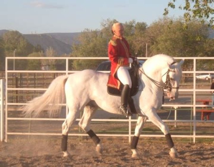 Lipizzaner Stallions To Tour US