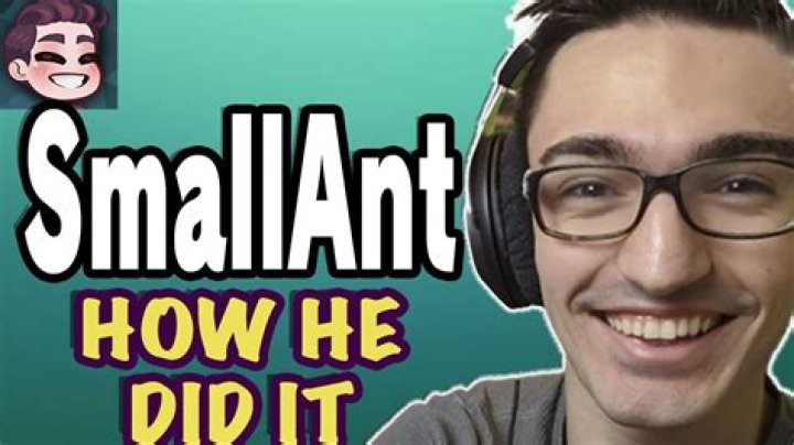 SmallAnt Youtuber overview
