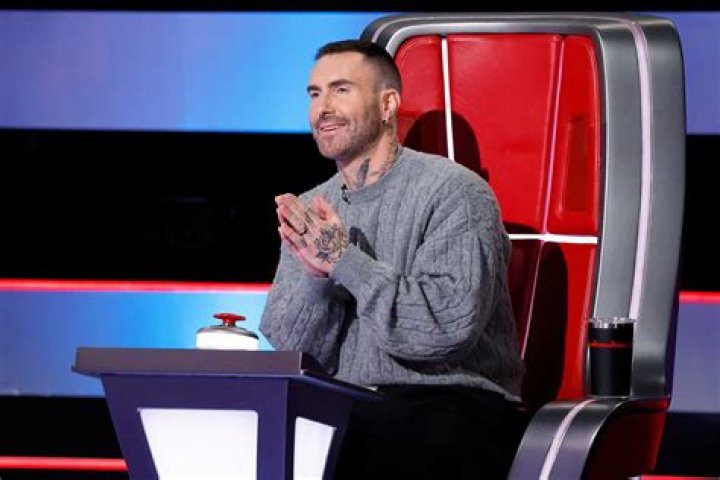 Was Adam Levine On 'American Idol'?