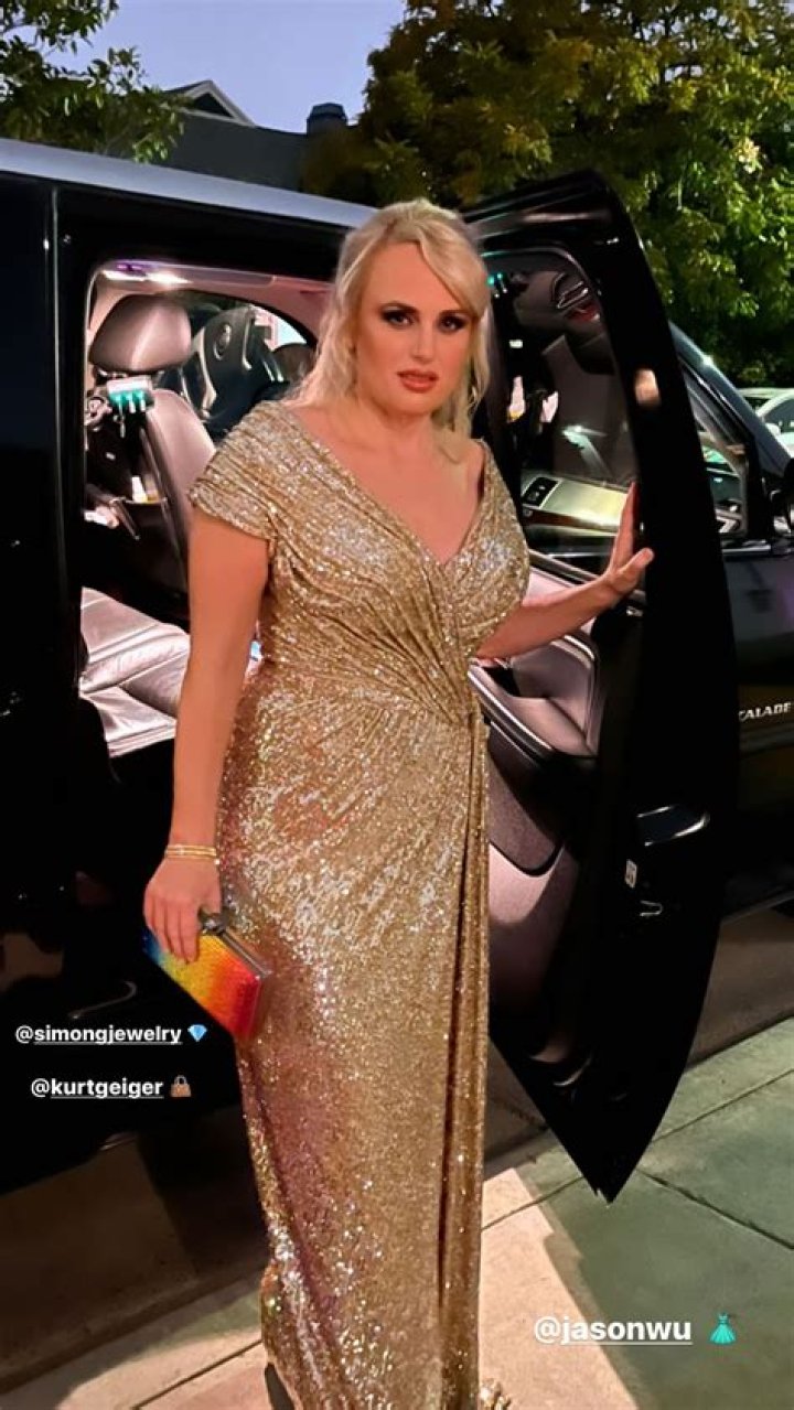 What Dress Size Is Rebel Wilson?